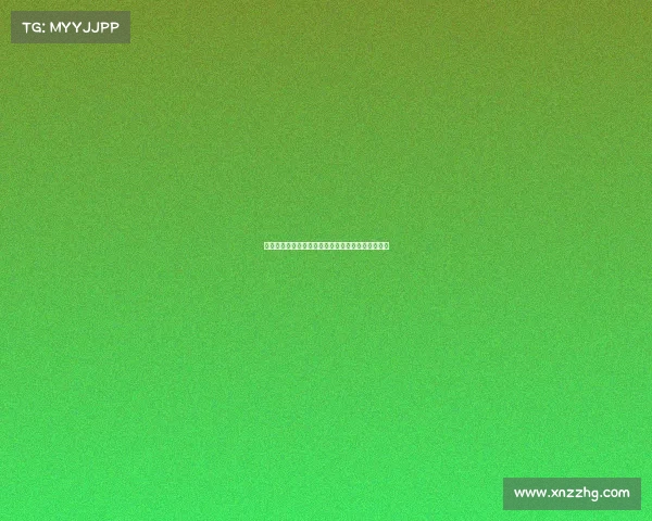 斯图加特与阿森纳就签下法比奥维埃拉展开谈判接触 斯图加特与阿森纳就签下法比奥维埃拉展开谈判接触