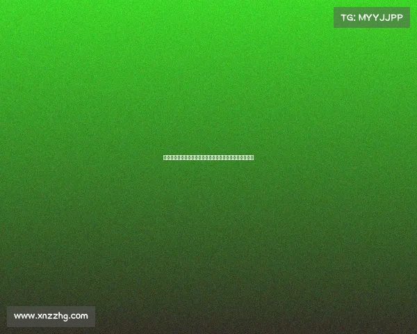 西甲中场组织核心地位解析及其对球队战术影响的深度剖析